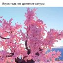 ���� �����, ���� - ��������� 10 ����� 2025 � ������ ���� ����������