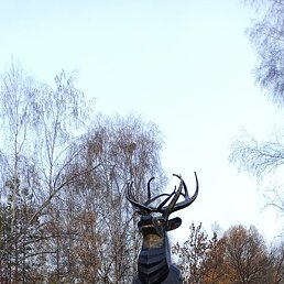 ���� ��������, �����������, 47 ���