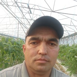 ���� ����, ��������, 43 ���� - ��������� 4 ������ 2026