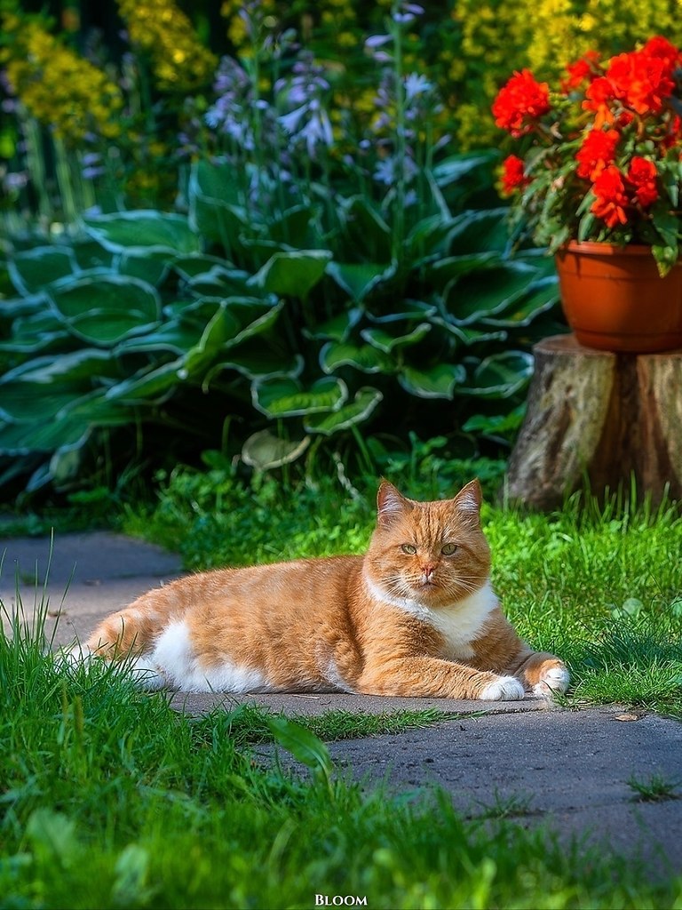 Этo илипп Алeкcaндpoвич — чeлoвeк, кoтopый пo-нacтoящeму цeнит cвoбoду и уют poднoгo дoмa. гo cepдцe ... - 3