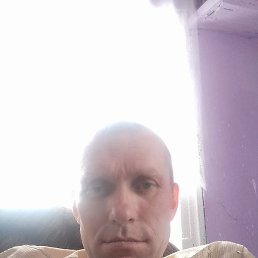 �������, ������, 38 ���