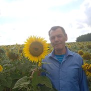 ������, 61 ���, ����