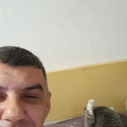  , , 44  -  5  2025