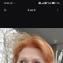 ���� ����, ������, 61 ��� - ��������� 15 ������ 2026 � ������ ���� ����������
