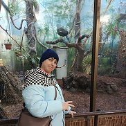 �������, 38 ���, ����������