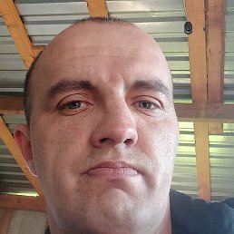 �������, �����, 38 ���