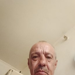 , 51, 