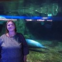 ���� �����, �����-���������, 54 ���� - ��������� 1 ������ 2026 � ������ ���� ����������