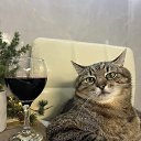 ���� �����, ���������, 48 ��� - ��������� 10 ������ 2025 � ������ ���� ����������