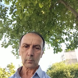 , 59, 