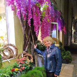 ���� �����, ���������, 66 ��� - ��������� 16 ������ 2024