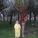 ���� ������, ����-����������� - ��������� 9 ������ 2025 � ������ ���� ����������