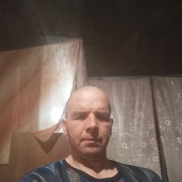 , 44, 