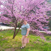 , 38 , 