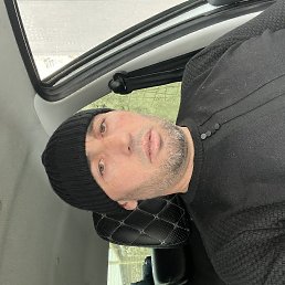 ������, 41 ���, ������