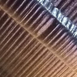 ������, ������, 22 ����