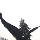  , , 46  -  8  2024    