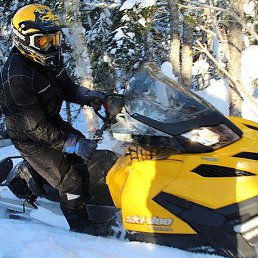 ������, ��������, 38 ���