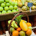 ���� �����, �����������, 31 ��� - ��������� 23 ������� 2024 � ������ ���� ����������