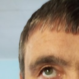 �������, ������, 49 ���