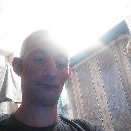, 41, 