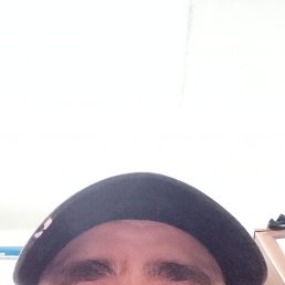 �����, 41 ���, ����