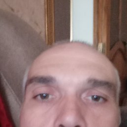 , 44 , 