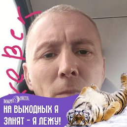 �����, ������, 49 ���