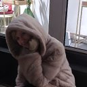 ���� �������, �������, 48 ��� - ��������� 29 ������� 2023 � ������ ���� ����������