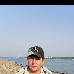 , 37 , 