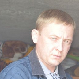 ����, 41 ���, ������