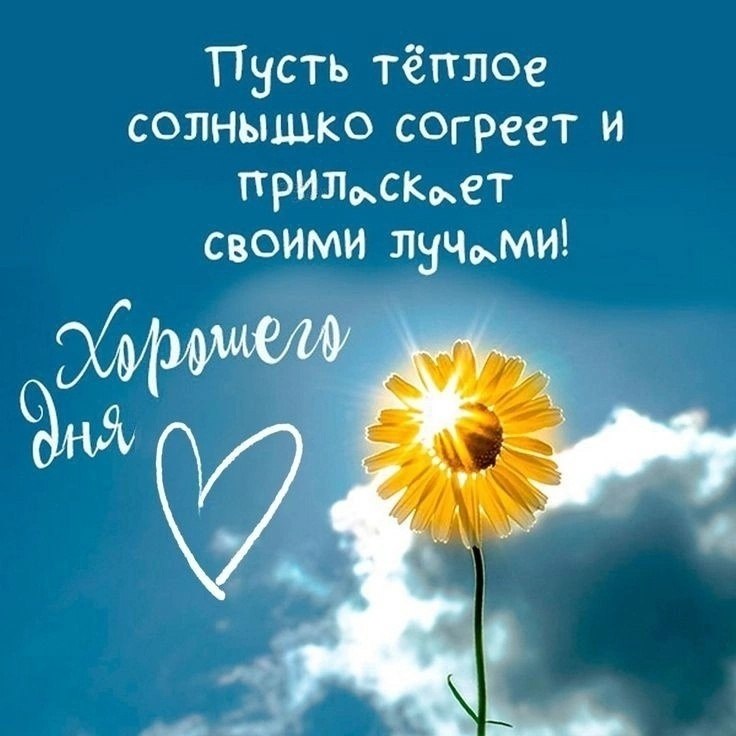   ,    . - 12  2025  09:02