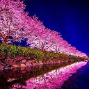 ���� ������, ������, 29 ��� - ��������� 30 ����� 2024 � ������ ���� ����������