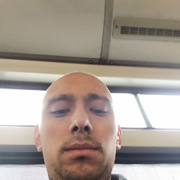 , 33, 