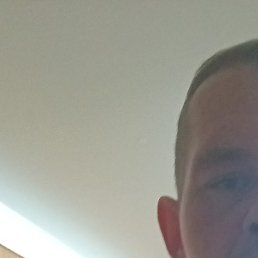 �����, �������, 37 ���