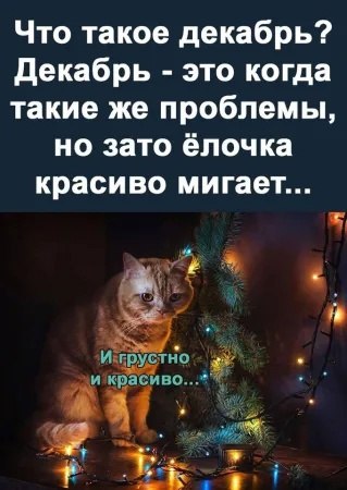  - 25  2023  11:55