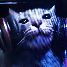 , , 19 