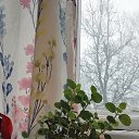 ���� ����, ����, 31 ��� - ��������� 21 ������ 2025 � ������ ������ ���������� ����ۻ