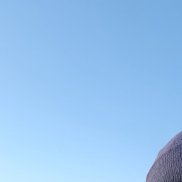 , 37 , 