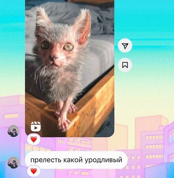 � ������ ��������!