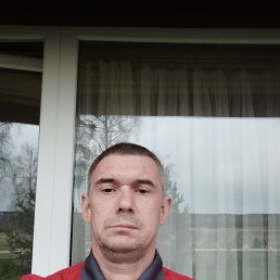 , 41, 