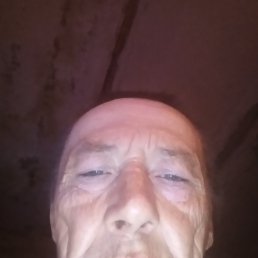 , 53, 