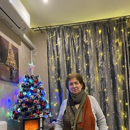 ���� �������, ������, 72 ���� - ��������� 7 ������ 2026