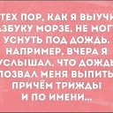���� �����.�� ��������! ��!, ������ �����, 48 ��� - ��������� 17 ������� 2026 � ������ ���� ����������