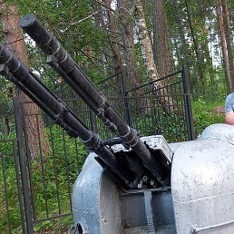 �������, ����, 47 ���