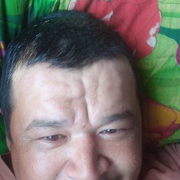, 38 , 