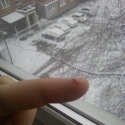 ��������, �����������, 27 ���