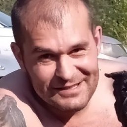 �����, �������, 42 ����