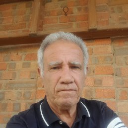 , 65, 