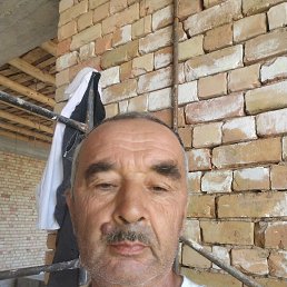 , 56, 